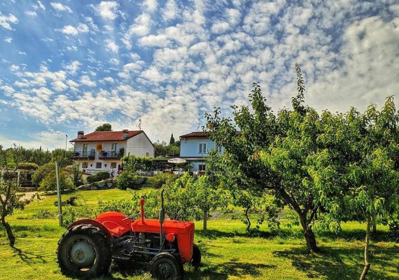 Agriturismo 30 Moniga del Garda Eksteriør billede