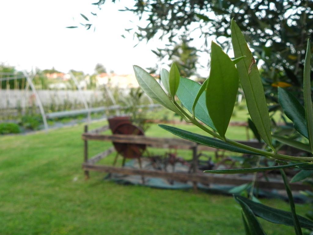 Agriturismo 30 Moniga del Garda Eksteriør billede