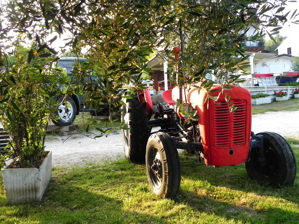 Agriturismo 30 Moniga del Garda Eksteriør billede